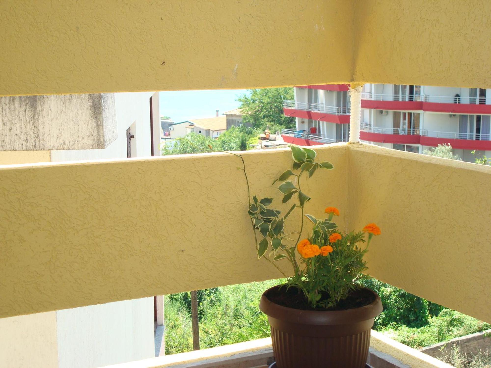 Apartments Cejovic ウルツィニ エクステリア 写真